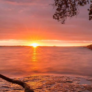 精品国产亚洲人成在线观看韩国
