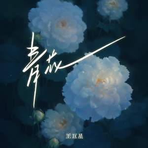 精品国产亚洲人成在线观看韩国
